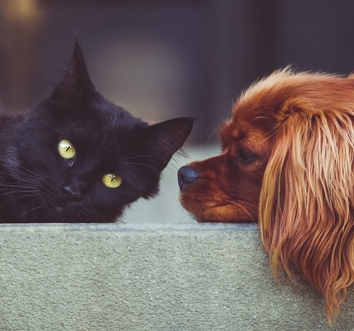 Profile picture for user MaiteRivero